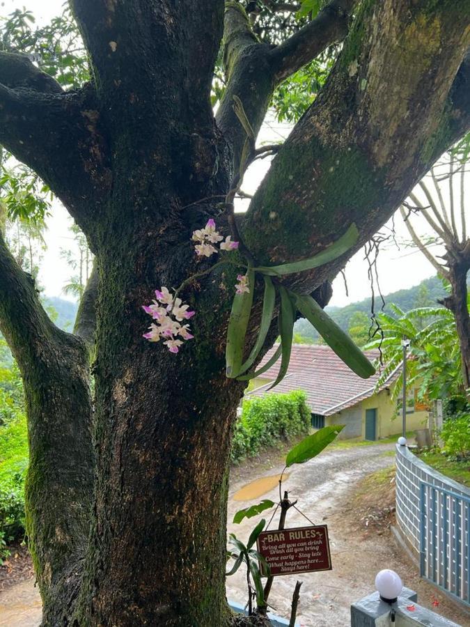 Darshan'S Home Stay Madikeri Exterior foto